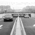 雙楠大道 雙楠大道