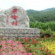 老嶺村(安徽省六安市舒城縣南港鎮下轄村) 老嶺村(安徽省六安市舒城縣南港鎮下轄村)