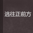 逃往正前方 逃往正前方