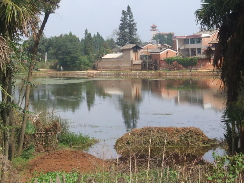 蝴蝶村 蝴蝶村