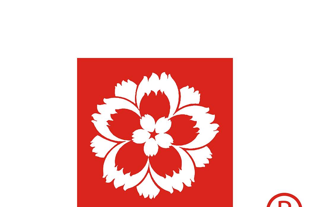 YINGHUA YINGHUA