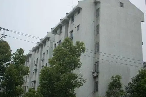 金泉西區 金泉西區