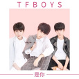是你(TFBOYS演唱歌曲) 是你(TFBOYS演唱歌曲)
