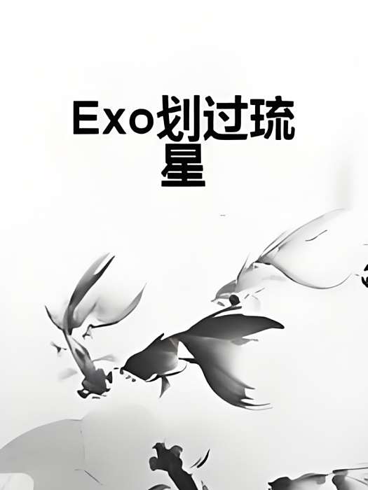 Exo划過琉星 Exo划過琉星