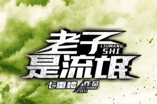 老子是流氓 老子是流氓