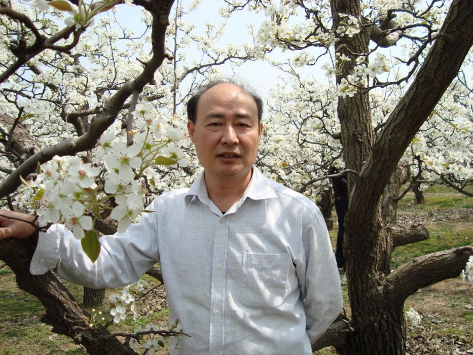 劉長新(劉守一) 劉長新(劉守一)