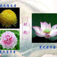 襯托手法 襯托手法