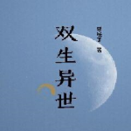 雙生異世 雙生異世