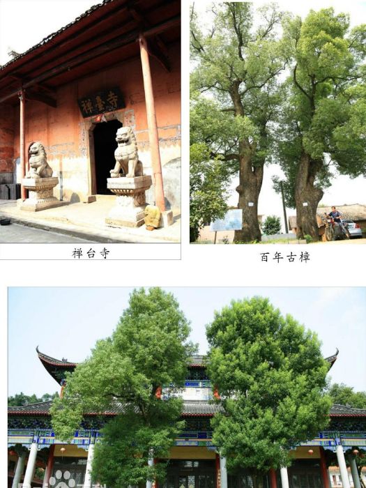 禪台寺 禪台寺