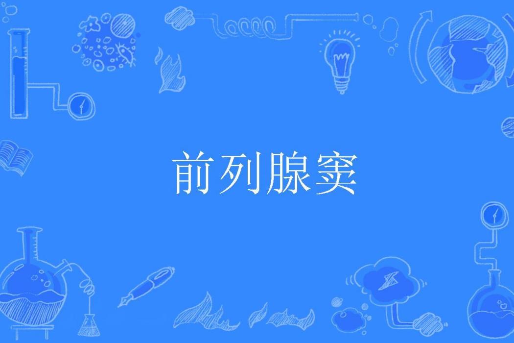 前列腺竇 前列腺竇