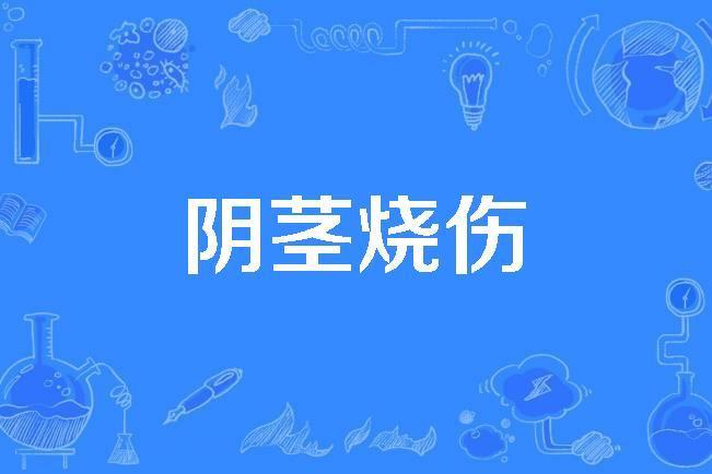 陰莖燒傷 陰莖燒傷