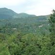 邵家村(雲南省騰衝縣馬站鄉邵家村) 邵家村(雲南省騰衝縣馬站鄉邵家村)