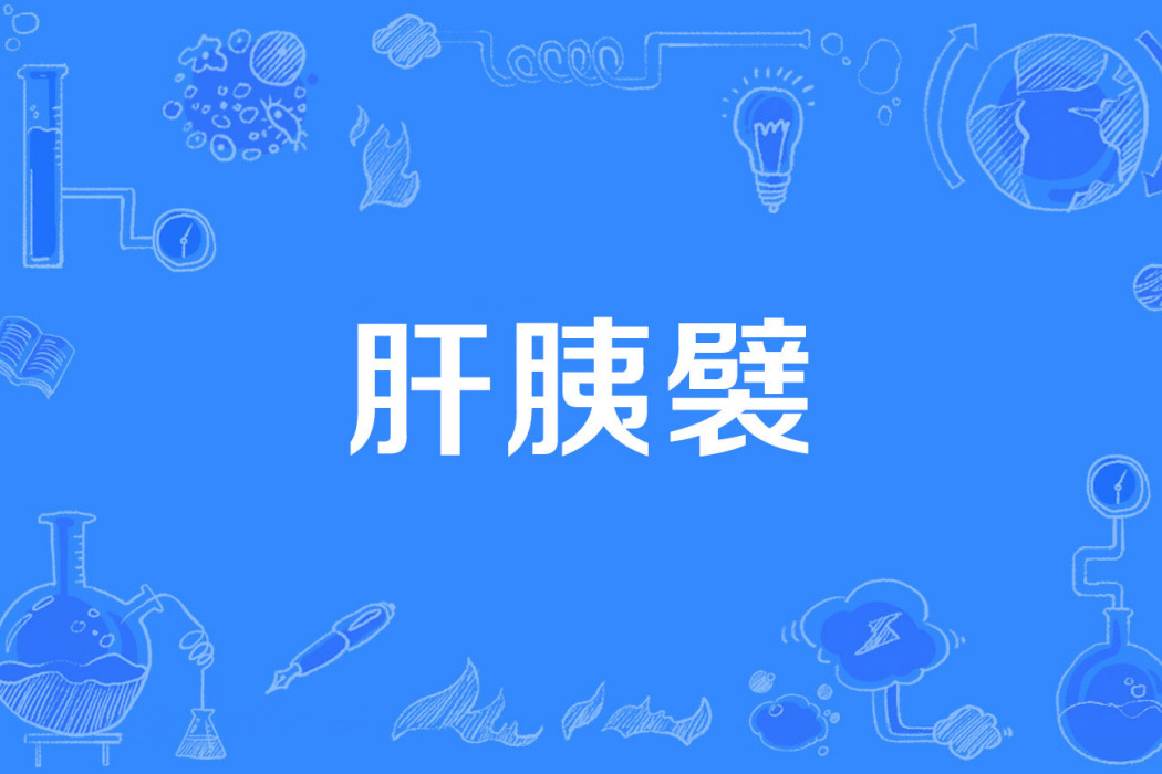 肝胰襞 肝胰襞