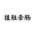 掛肚牽腸 掛肚牽腸