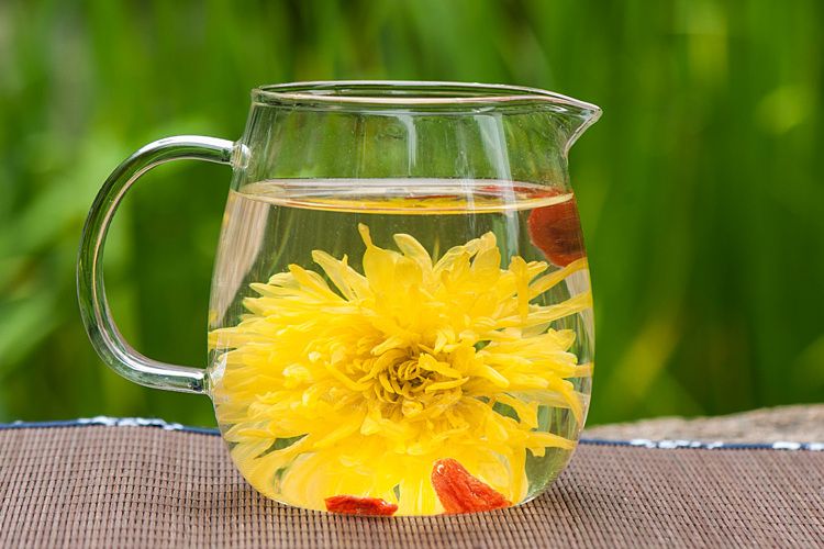 沙菊茶 沙菊茶