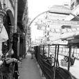 忠介路 忠介路