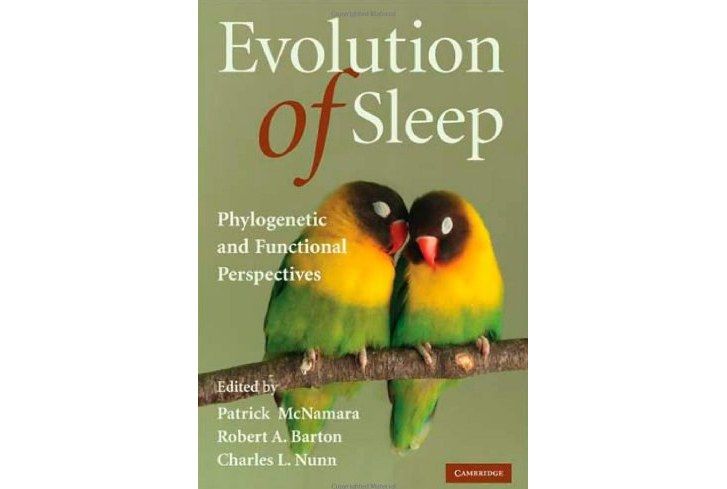 Evolution of Sleep