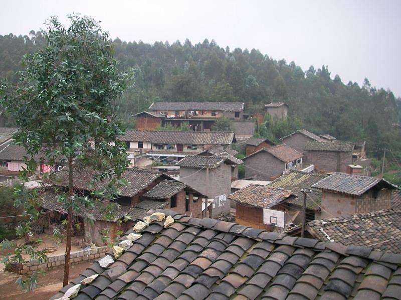大木坪村 大木坪村