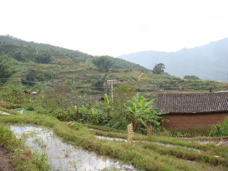 蠻別村 蠻別村