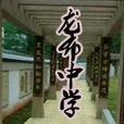 龍布中學 龍布中學