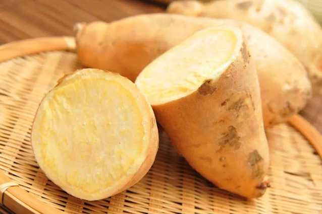 長樂番薯 長樂番薯