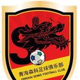 青海森科足球俱樂部(青海森科隊)