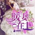 暖妻在上 暖妻在上