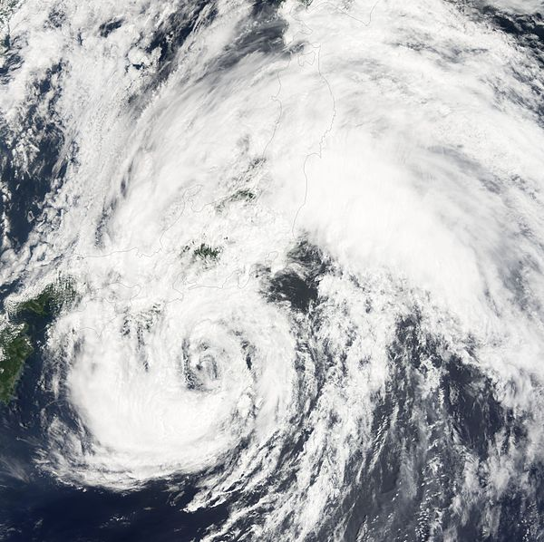 強熱帶風暴榕樹 衛星雲圖