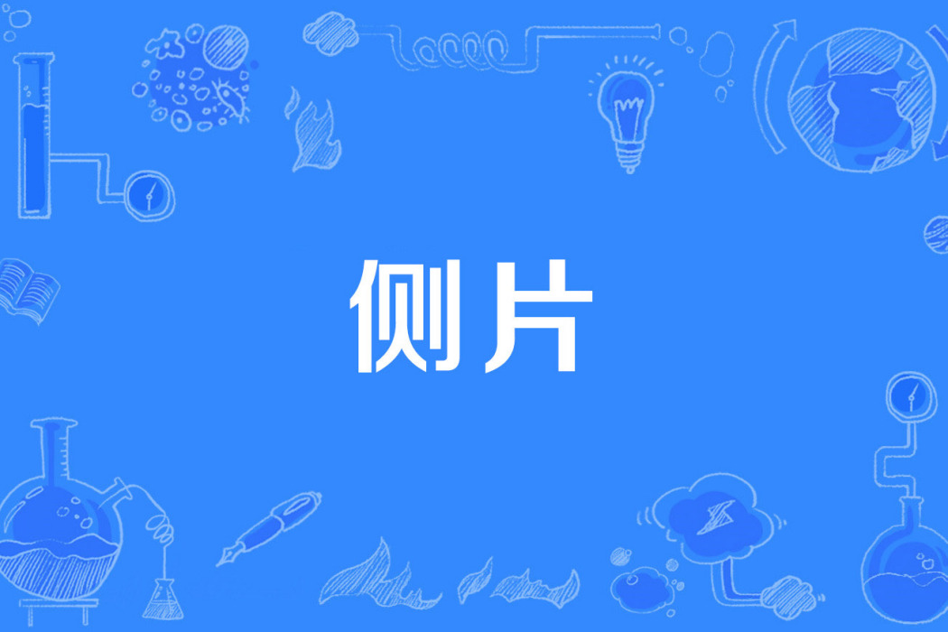 側片 側片
