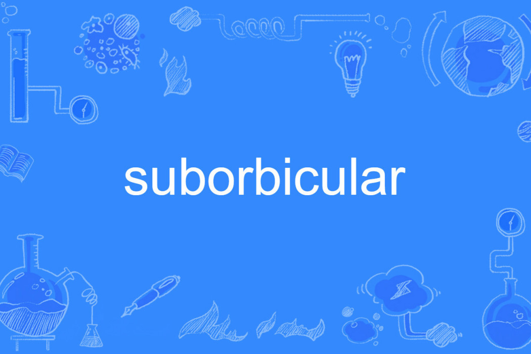 suborbicular suborbicular