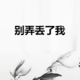 別弄丟了我 別弄丟了我