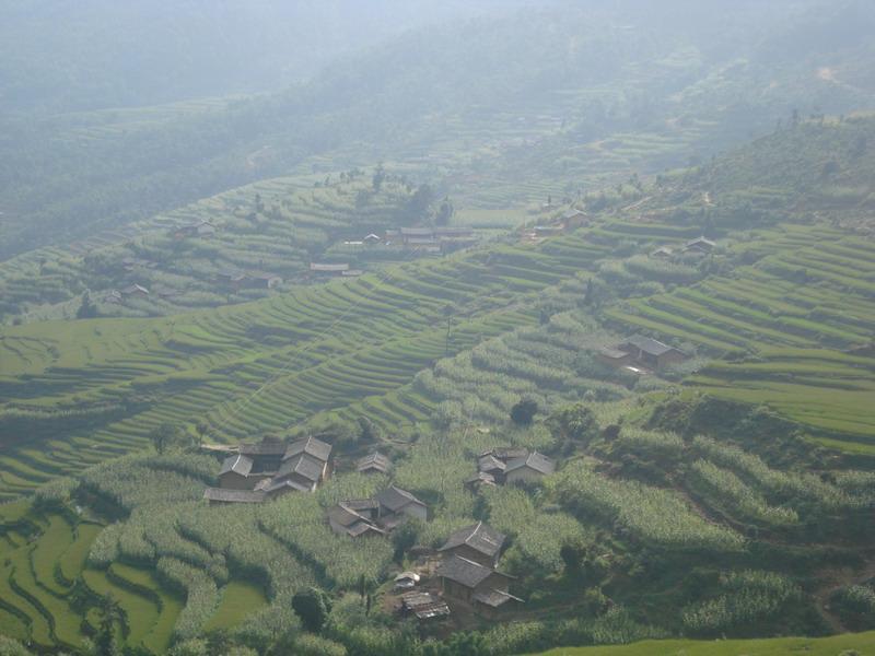草箐村 草箐村