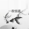 一夜悟道 一夜悟道
