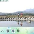 人影綽綽 人影綽綽