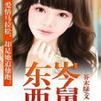 東岑西舅 東岑西舅