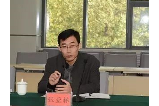 張亞林(航天長峰董事) 張亞林(航天長峰董事)