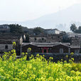 樟腳村 樟腳村