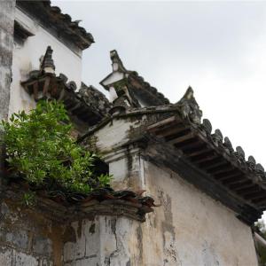 洪村村(江西省上饒市婺源縣清華鎮轄村)
