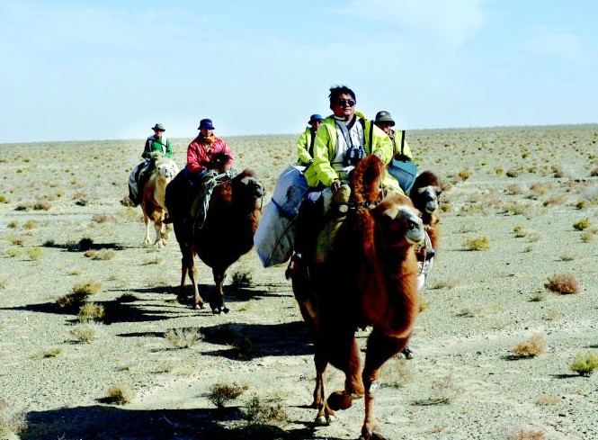羅布泊野駱駝國家級自然保護區(羅布泊野駱駝自然保護區)