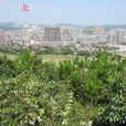 衡東縣 衡東縣