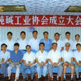 中國純鹼工業協會