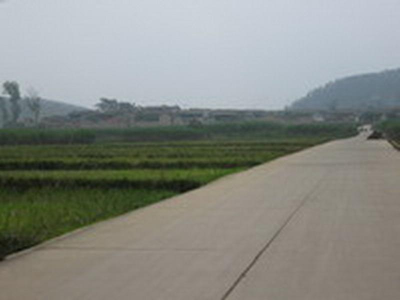 大者黑村