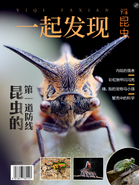 一起發現(2023年由少年科學畫報所著的圖書) 一起發現(2023年由少年科學畫報所著的圖書)