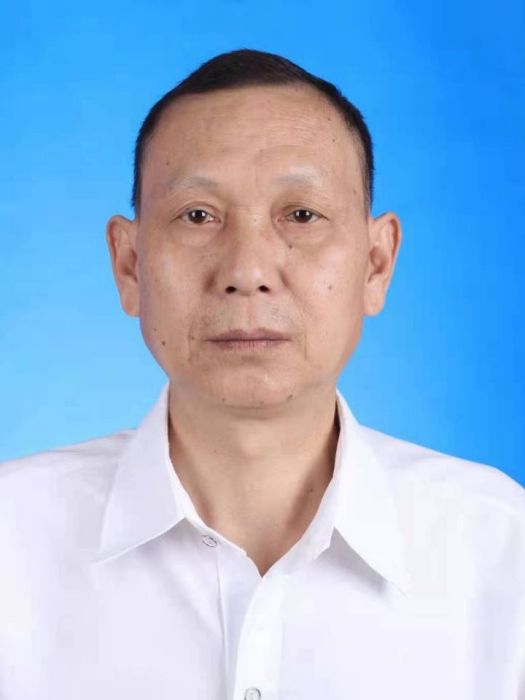 陳林(重慶市豐都縣董家鎮主任科員) 陳林(重慶市豐都縣董家鎮主任科員)