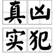 真兇實犯 真兇實犯