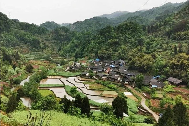 金黃村(四川省達州市達川區大堰鎮下轄村) 金黃村(四川省達州市達川區大堰鎮下轄村)