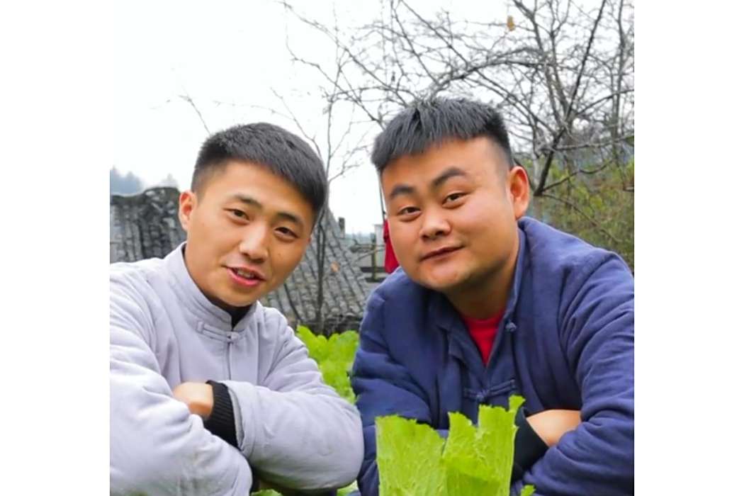 松松和二毛 松松和二毛