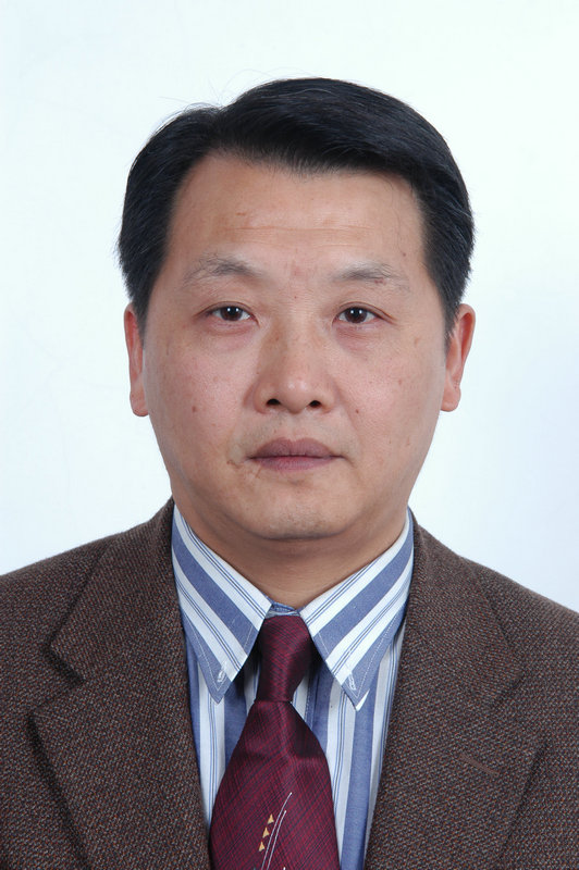 楊春平(重慶大學法學院教授)