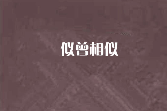 似曾相似 似曾相似