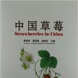 中國草莓 中國草莓